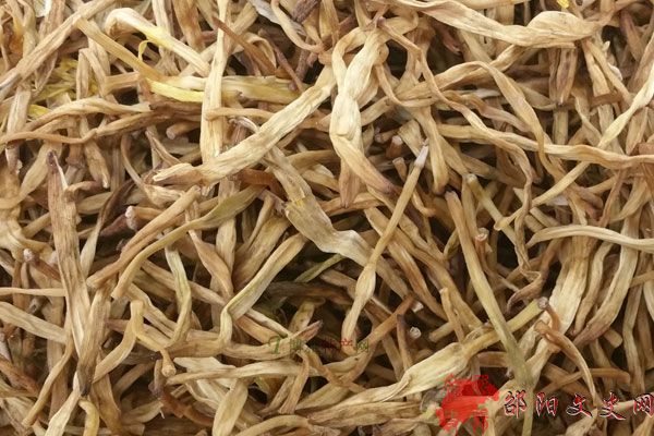 邵东黄花菜