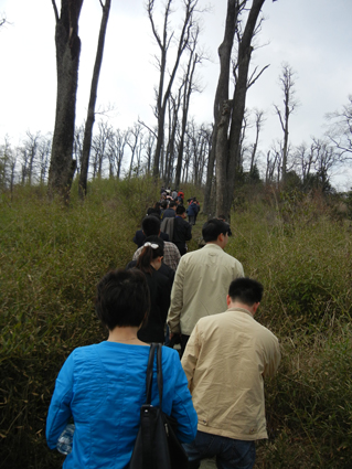 神秘瑶乡之古树奇观 <wbr> <wbr> <wbr> <wbr> <wbr>潘潘