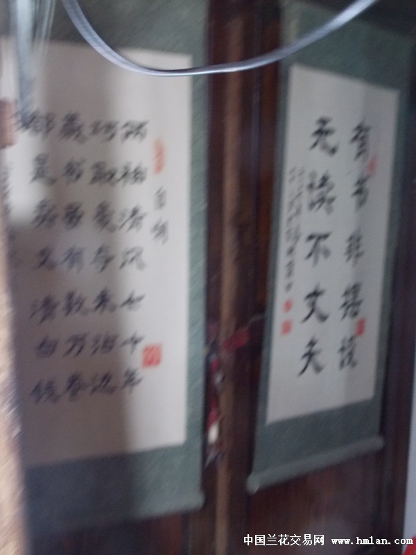 点击图片在新窗口浏览原图