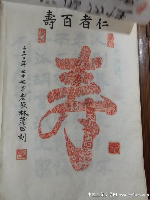 点击图片在新窗口浏览原图