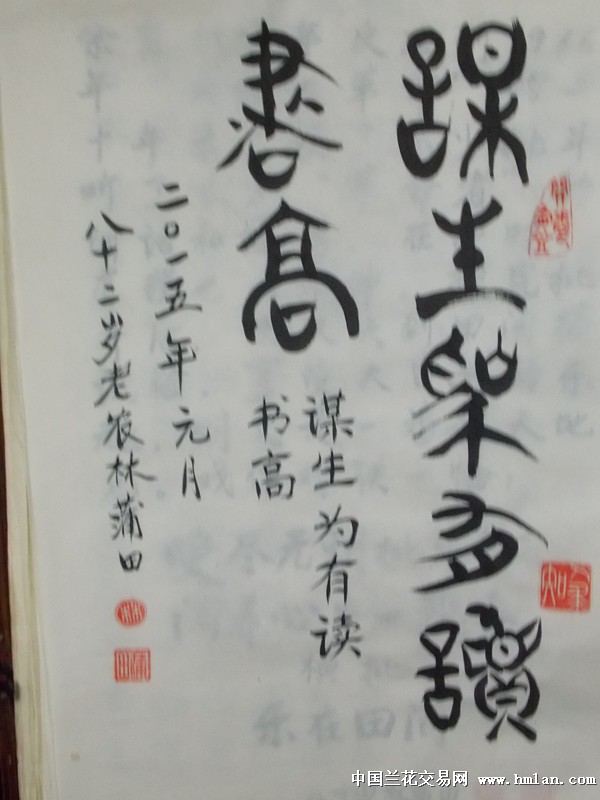 点击图片在新窗口浏览原图