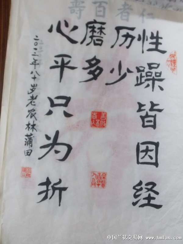 点击图片在新窗口浏览原图