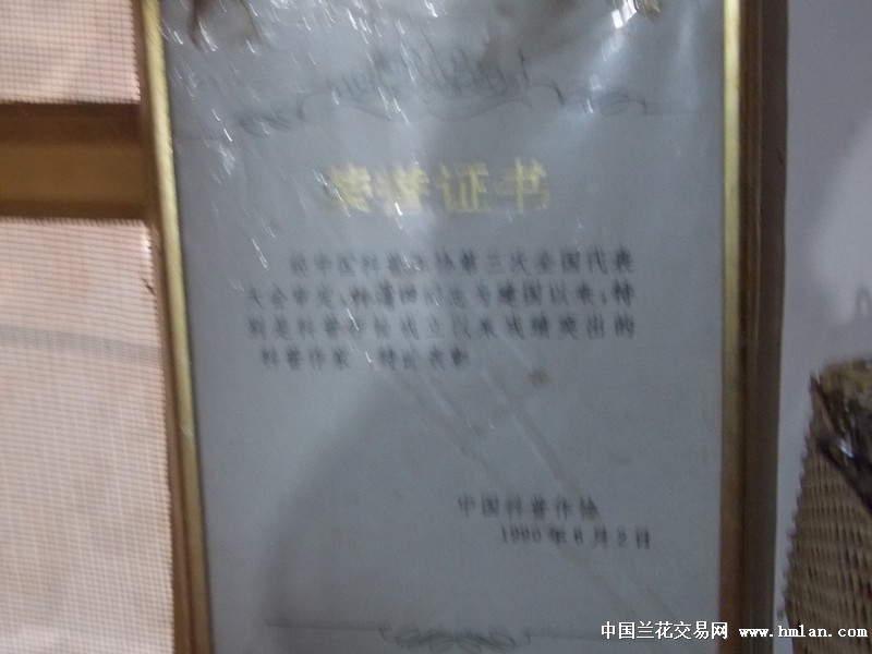 点击图片在新窗口浏览原图