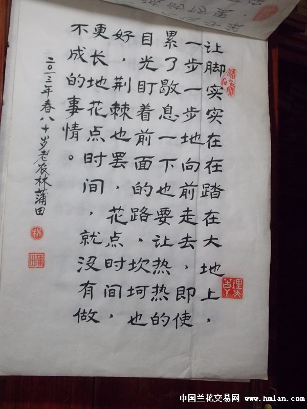 点击图片在新窗口浏览原图