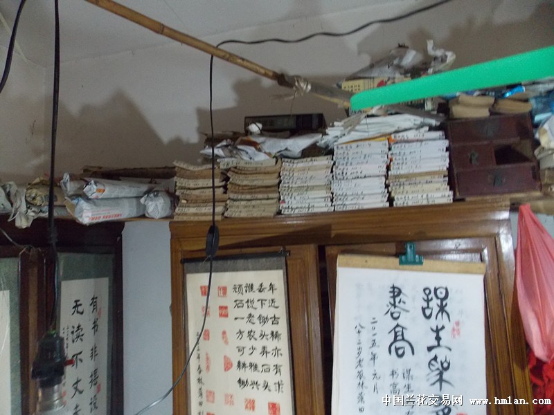 点击图片在新窗口浏览原图