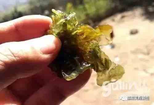 邵阳有一道名菜叫做“雷公屎”,你敢吃吗?