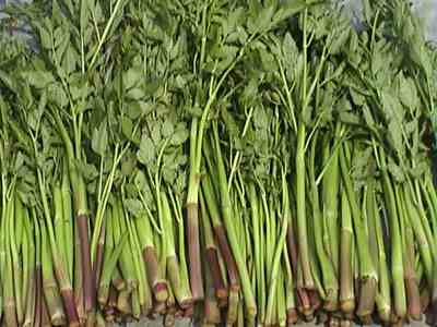 邵阳十大美味野菜,看完莫流口水哟！