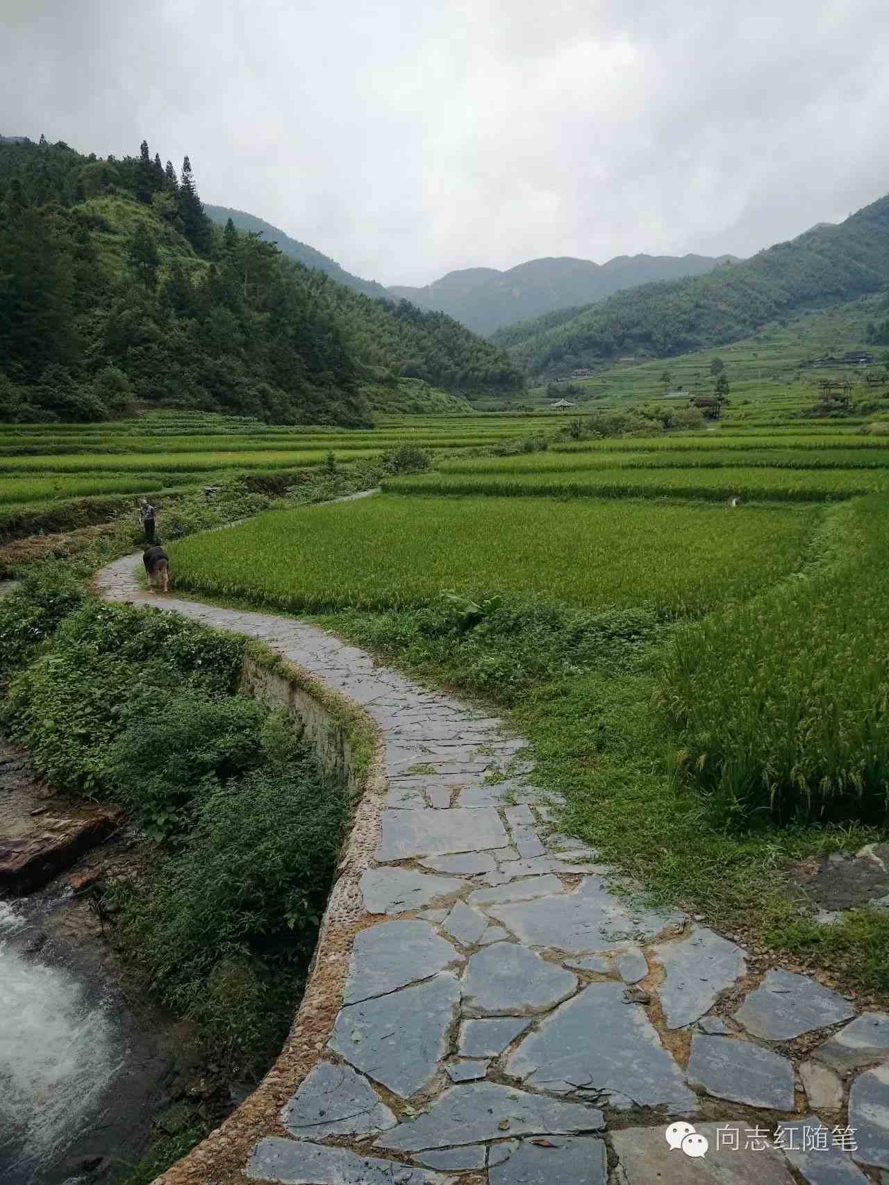 谁也想不到,湖南绥宁的上堡,原来是一座巍峨壮观的城堡,更是一处世界文化遗产(预备名单)