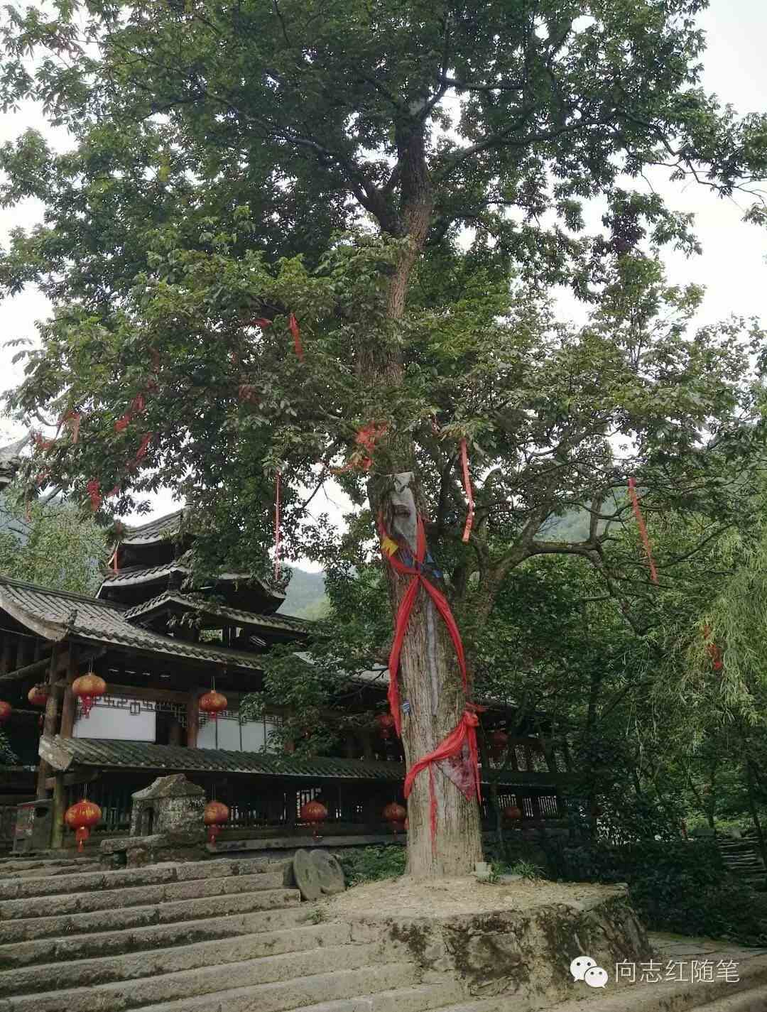 谁也想不到,湖南绥宁的上堡,原来是一座巍峨壮观的城堡,更是一处世界文化遗产(预备名单)