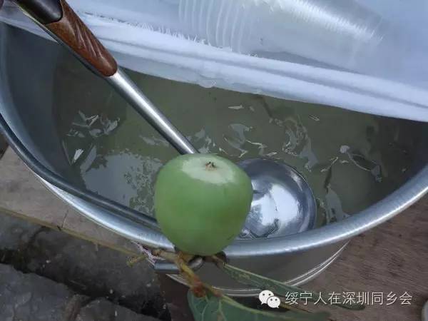 夏天最难忘的绥宁味道,是冰凉粉给的清凉