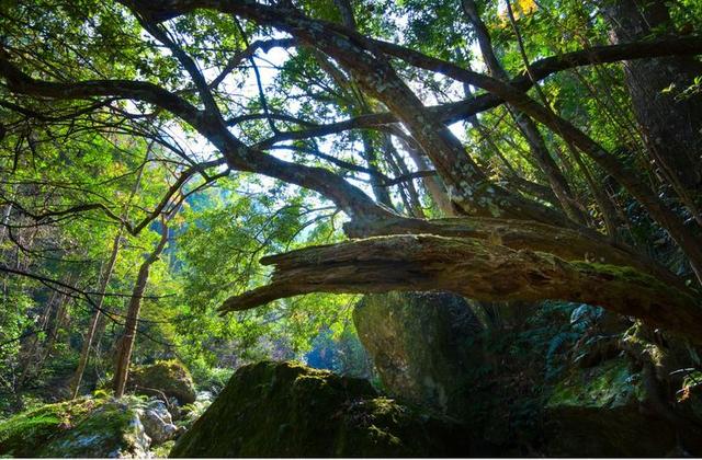 邵阳绥宁：大美三湘最佳“洗肺”地