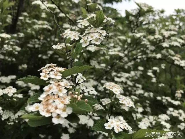 大美湖南之心十重大界，不似人间 ︳我所不知道的家乡