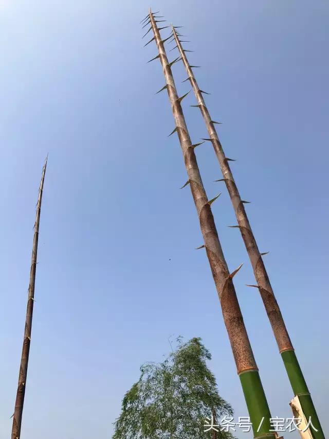 大美湖南之心十重大界，不似人间 ︳我所不知道的家乡