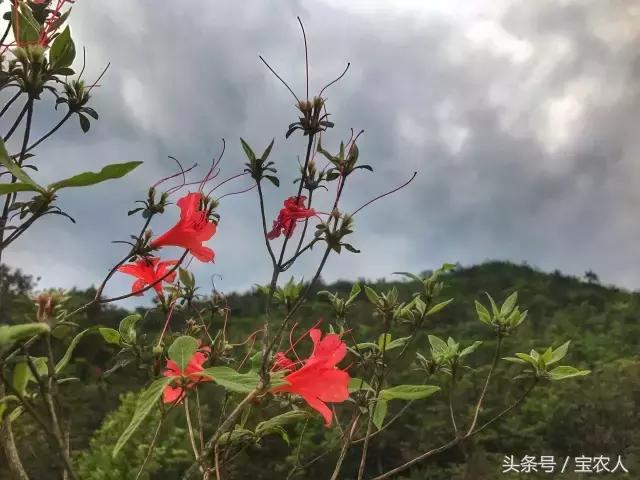 大美湖南之心十重大界，不似人间 ︳我所不知道的家乡