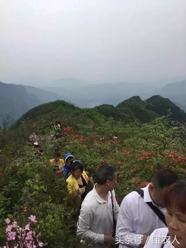 大美湖南之心十重大界，不似人间 ︳我所不知道的家乡