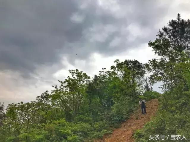 大美湖南之心十重大界，不似人间 ︳我所不知道的家乡