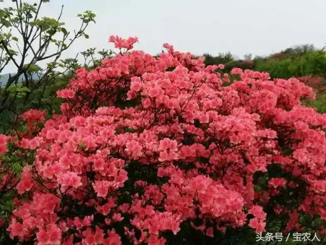 大美湖南之心十重大界，不似人间 ︳我所不知道的家乡