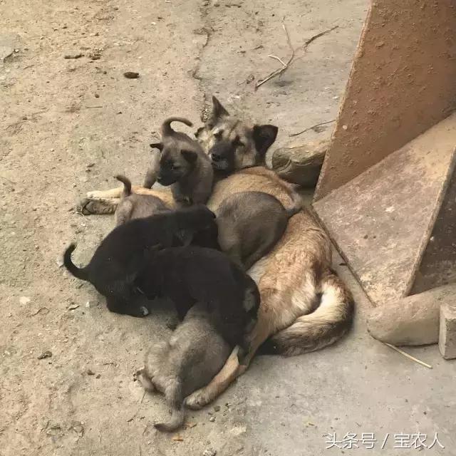 大美湖南之心十重大界，不似人间 ︳我所不知道的家乡