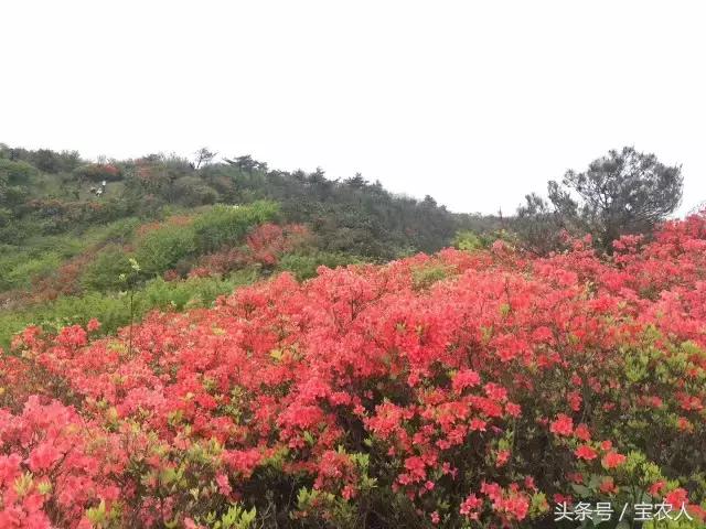 大美湖南之心十重大界，不似人间 ︳我所不知道的家乡