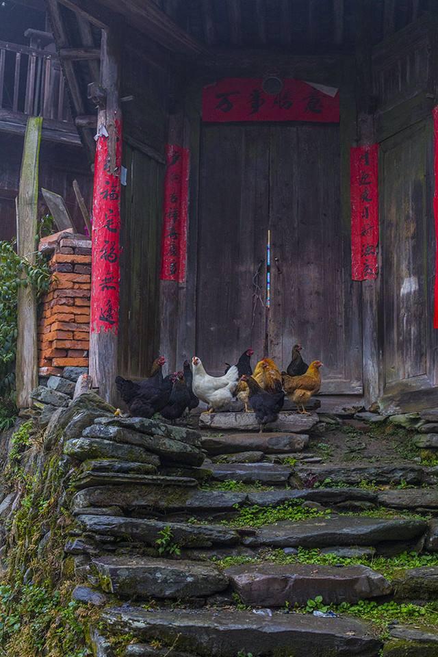 神奇绿洲——大美绥宁，梦境一般的古村落