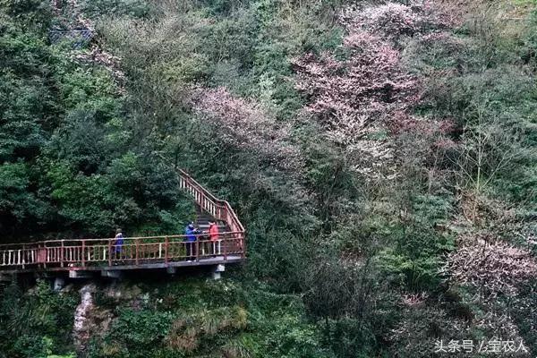 讲真！邵阳即将搭建的这些乡村旅游路线，你走过吗？