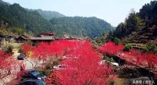 讲真！邵阳即将搭建的这些乡村旅游路线，你走过吗？