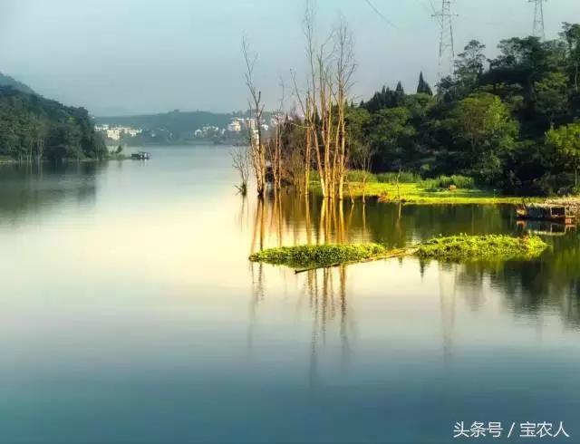 邵阳游子写下的10首诗，一字一句都是情，差点泪目……