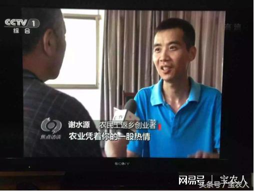 “淮山王子”谢水源：“一二一”大步走在电商之路上
