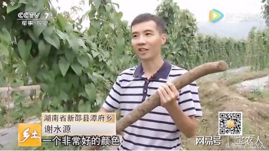 “淮山王子”谢水源：“一二一”大步走在电商之路上
