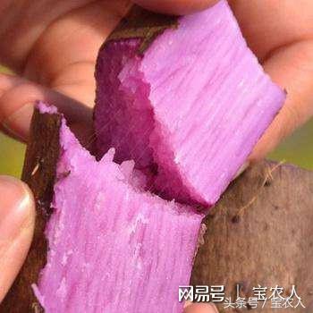 “淮山王子”谢水源：“一二一”大步走在电商之路上