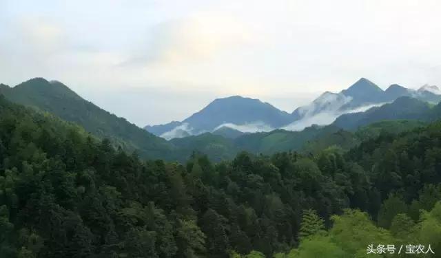 邵阳的绝世美景：人间仙境，绿色黄桑