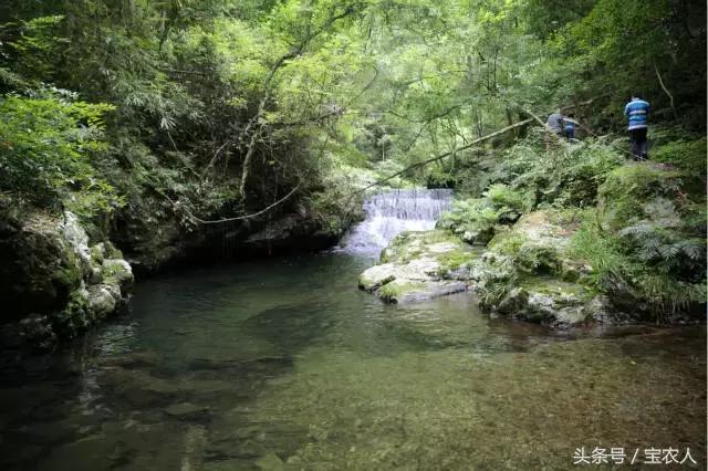 邵阳的绝世美景：人间仙境，绿色黄桑