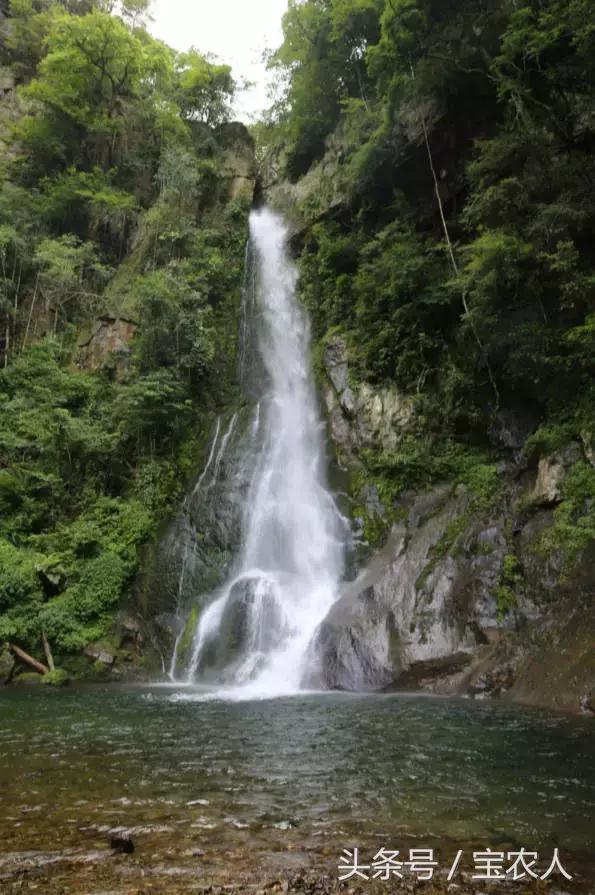 邵阳的绝世美景：人间仙境，绿色黄桑