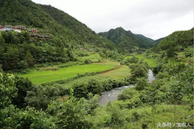 邵阳的绝世美景：人间仙境，绿色黄桑