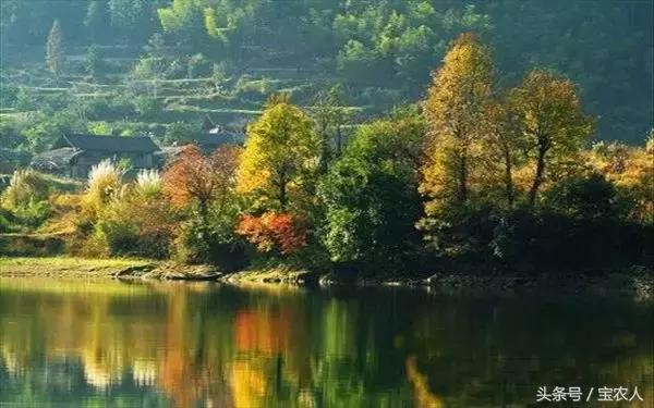 邵阳的绝世美景：人间仙境，绿色黄桑