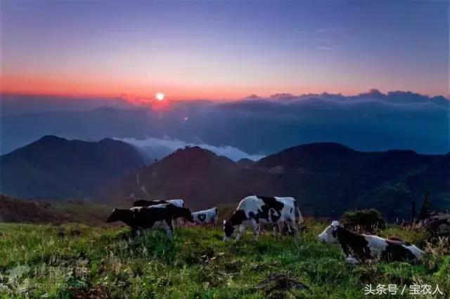 邵阳那么美，这个暑假带您领略邵阳美景