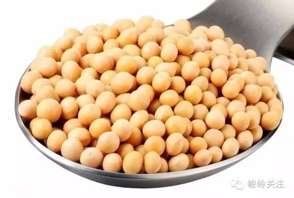邵东民间风味（一）佘田桥豆腐 色香味俱佳的享受
