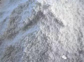 邵东民间风味（一）佘田桥豆腐 色香味俱佳的享受