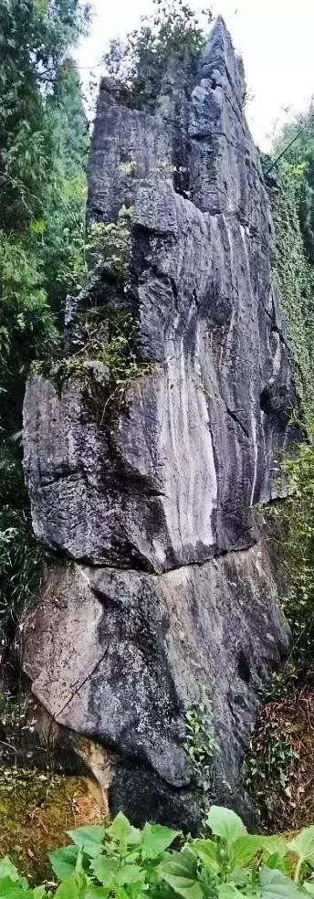 河伯岭最美丽的传说