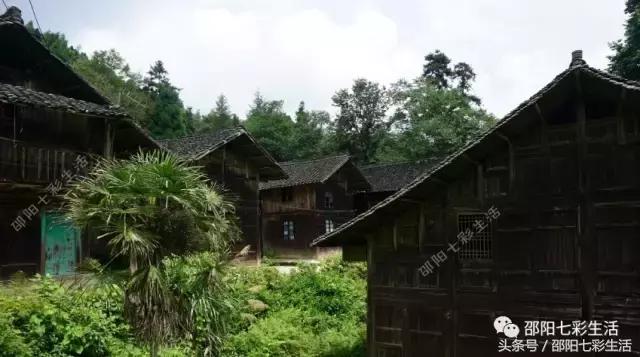 魏家村：毗邻向阳水库的最原始古村落，世外桃源