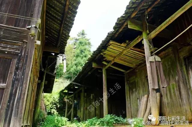 魏家村：毗邻向阳水库的最原始古村落，世外桃源