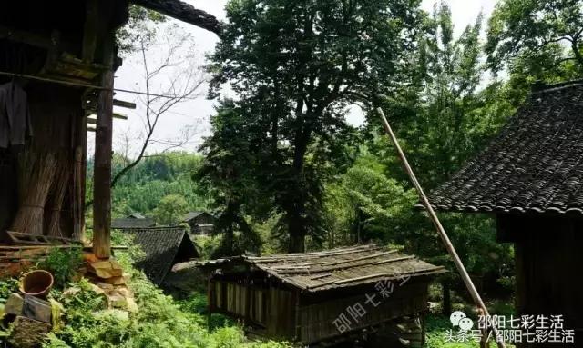 魏家村：毗邻向阳水库的最原始古村落，世外桃源