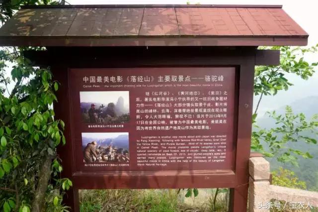 暑期崀山游玩全攻略，惊险刺激好嬲噻！