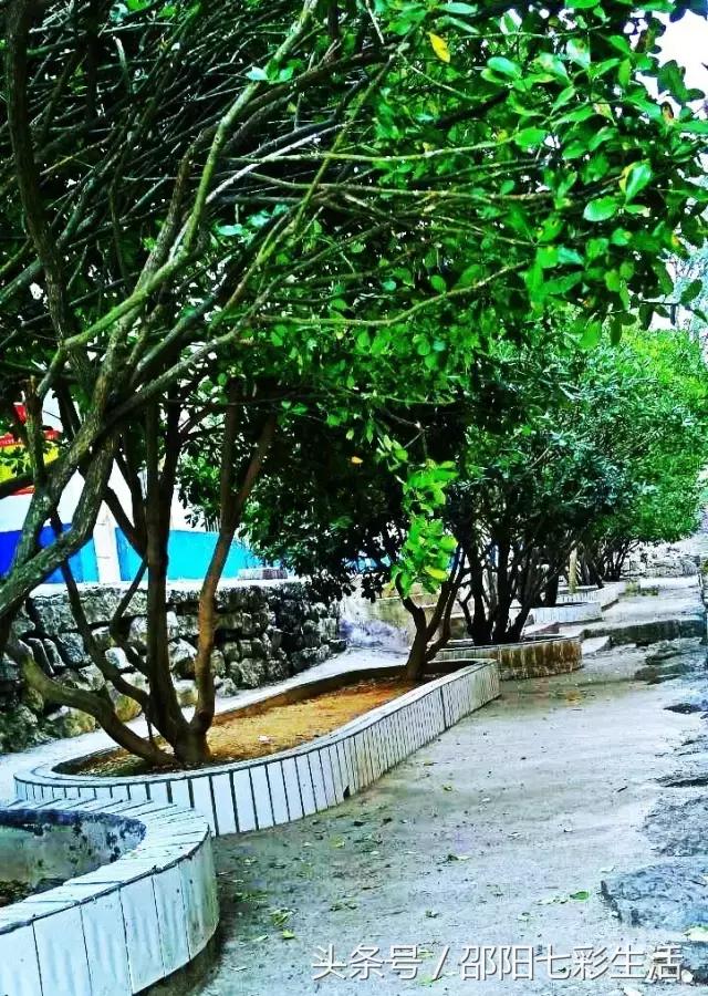 醉人的风景，留在美丽的河伯完小