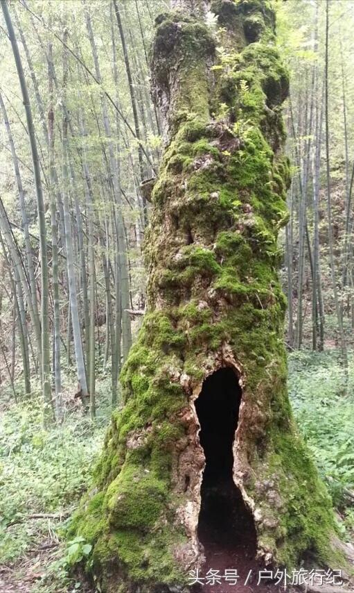 邵阳武冈有座仙山
