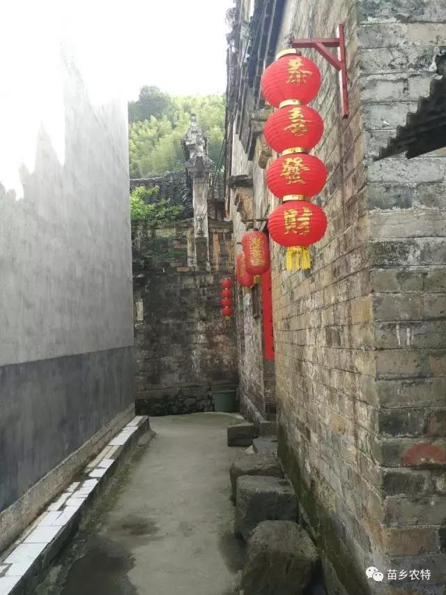 醉美铺头，缘起苗乡城步农特