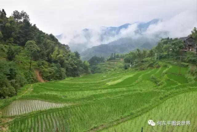 想带你去新邵这个地方，尝尝树叶做成的豆腐，约么？