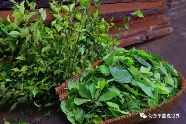 想带你去新邵这个地方，尝尝树叶做成的豆腐，约么？