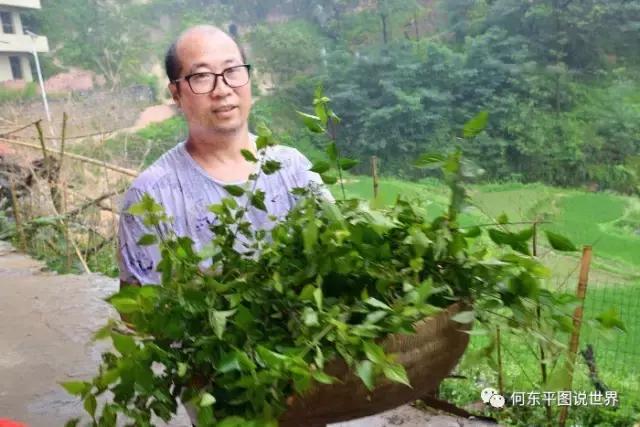 想带你去新邵这个地方，尝尝树叶做成的豆腐，约么？