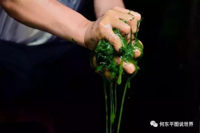想带你去新邵这个地方，尝尝树叶做成的豆腐，约么？